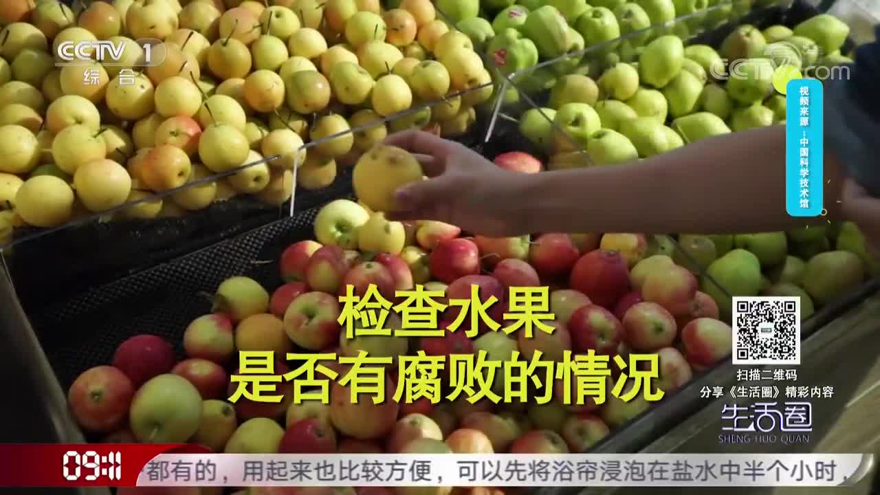 [视频]好水果与腐败的水果放一起会加速变质吗？