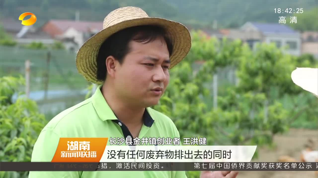 研究生态循环农业 海归硕士做现代农人