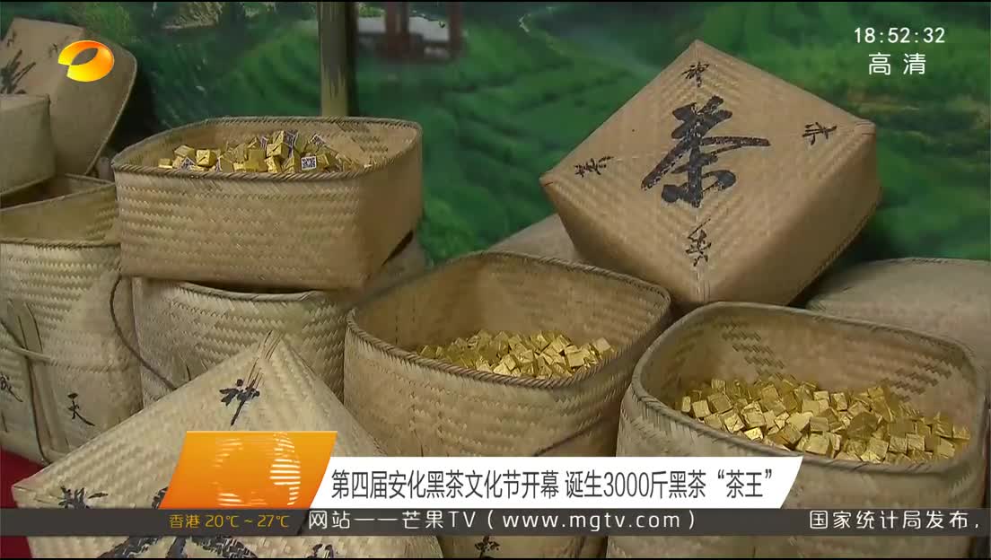 第四届安化黑茶文化节开幕 诞生3000斤黑茶“茶王”