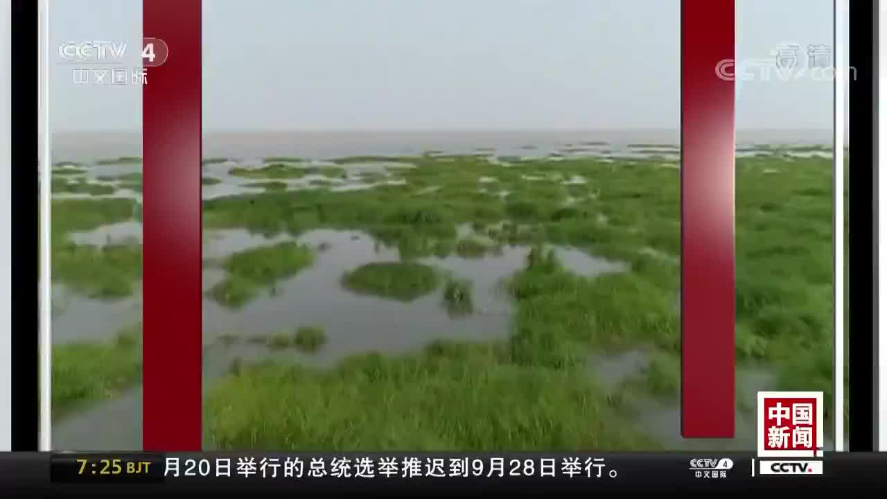 [视频]江西：鄱阳湖水域进入禁渔期