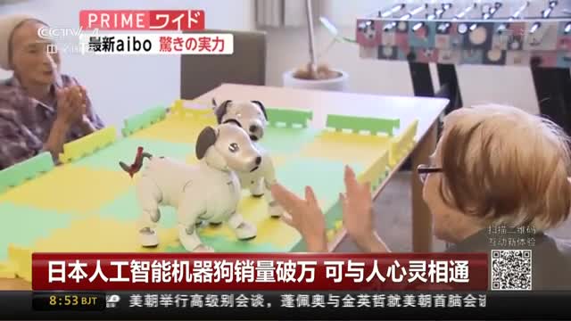 [视频]日本人工智能机器狗销量破万 可与人心灵相通