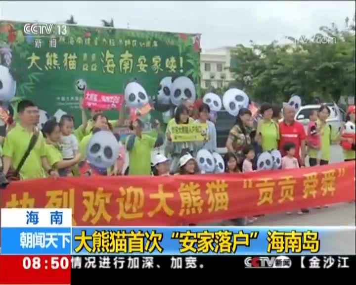 [视频]大熊猫首次“安家落户”海南岛