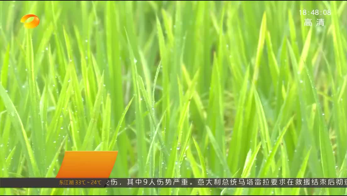 湘西州多地实施人工增雨