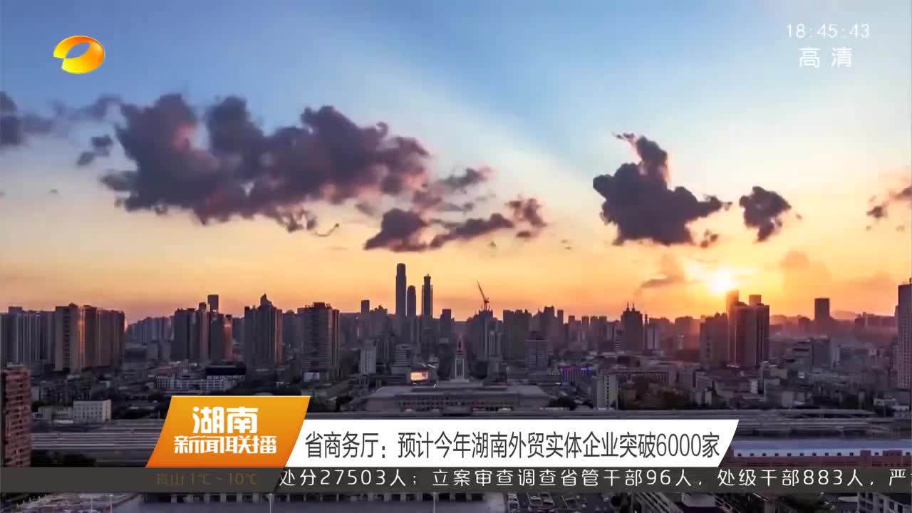 省商务厅：预计今年湖南外贸实体企业突破6000家