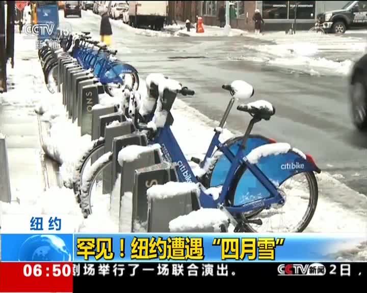 [视频]罕见！纽约遭遇“四月雪”