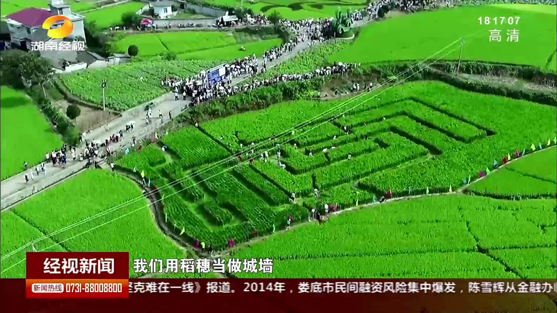 稻花鱼文化节好吃好玩 游客“走迷宫”找出路