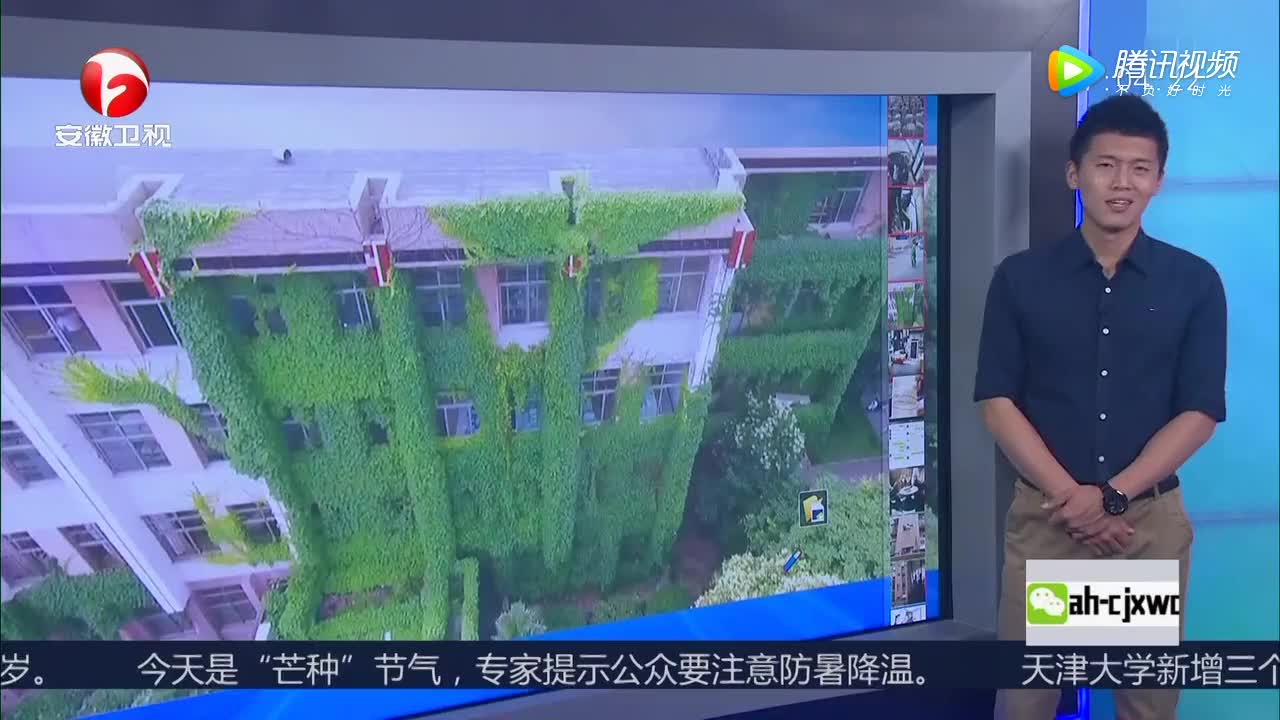 [视频]河南郑州爬山虎爬满建筑 图书馆变“空调房”