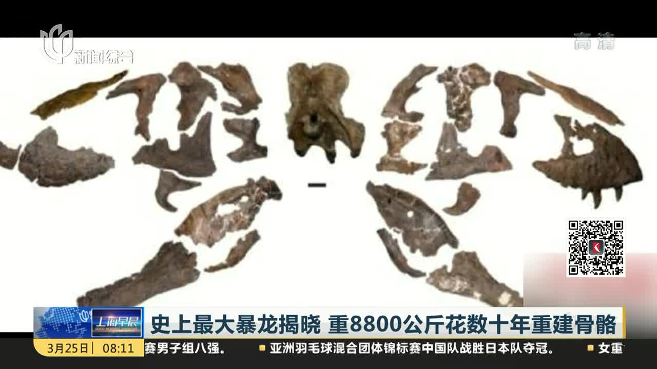 [视频]史上最大暴龙揭晓 重8800公斤花数十年重建骨骼