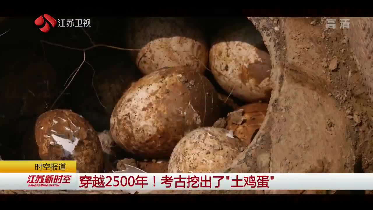 [视频]穿越2500年！考古挖出了“土鸡蛋”