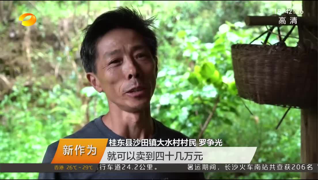 （新时代 新担当 新作为）攻坚克难在一线 张菊容：做脱贫攻坚一线的“闯将”