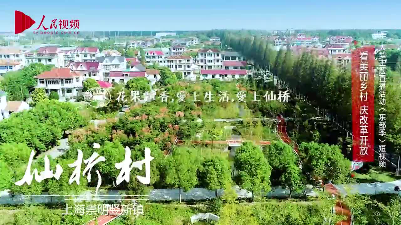 [视频]美丽乡村·上海仙桥村：也许这是靠都市最近的“桃花源”！