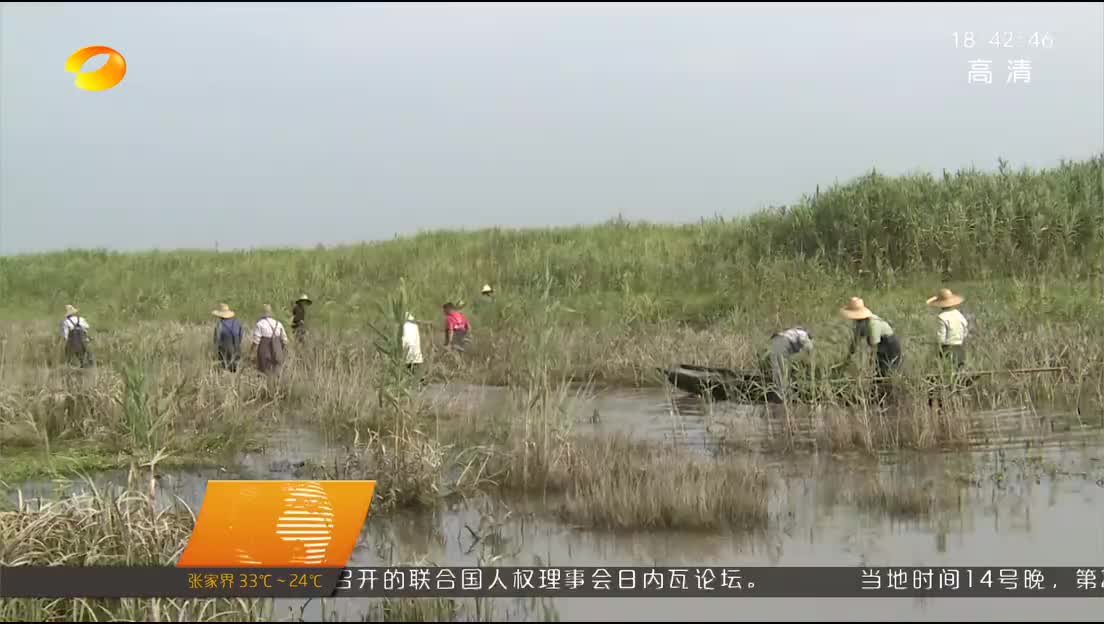 [守护好一江碧水] 汉寿西洞庭湖：200多条地笼网被收缴