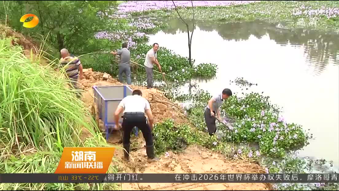 [守护好一江碧水] 益阳资阳区：保护水源地 根治“水葫芦”