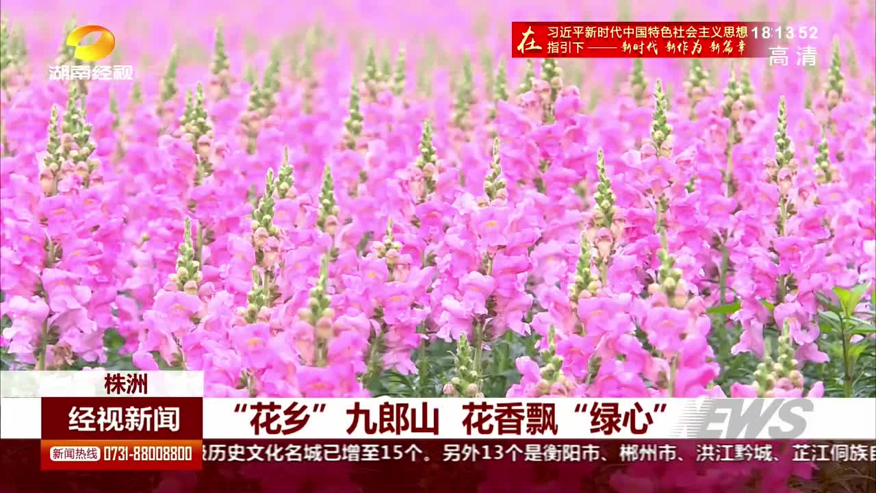 “花乡”九郎山 花香飘“绿心”