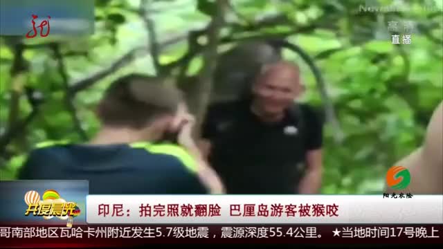 [视频]印尼：拍完照就翻脸 巴厘岛游客被猴咬