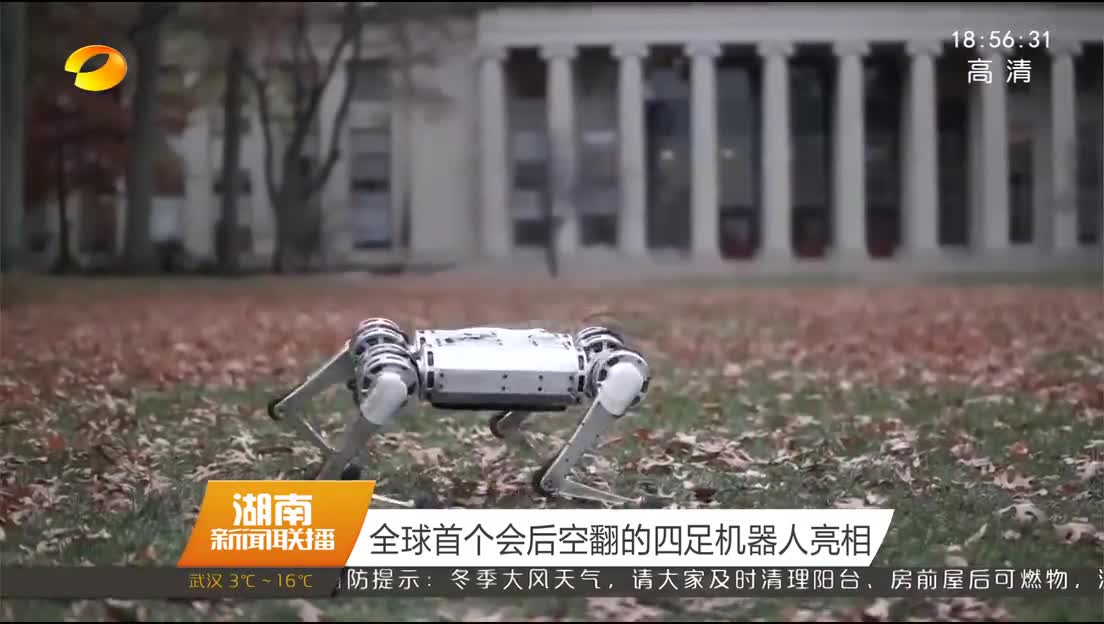 全球首个会后空翻的四足机器人亮相