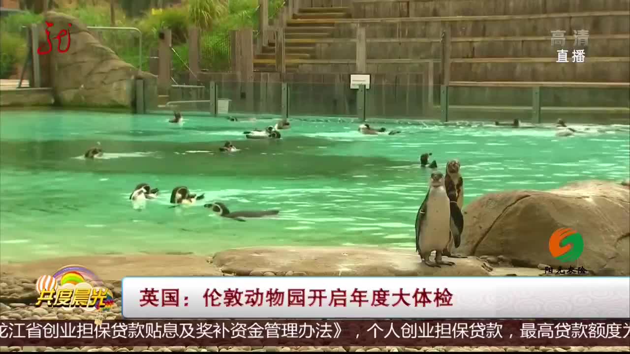 [视频]英国：伦敦动物园开启年度大体检