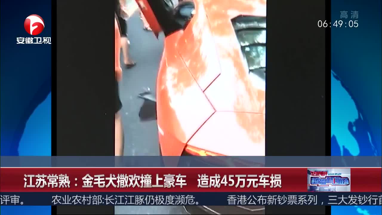 [视频]金毛犬马路撒欢撞伤800万元兰博基尼 造成45万元车损