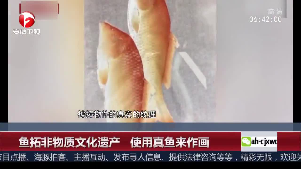 [视频]鱼拓非物质文化遗产 使用真鱼来作画