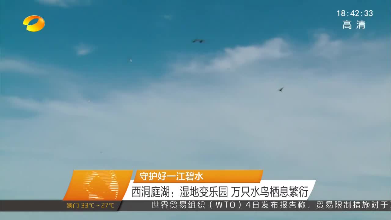 守护好一江碧水 西洞庭湖：湿地变乐园 万只水鸟栖息繁衍