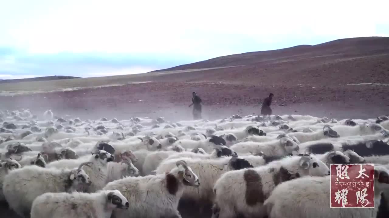 《太阳照耀》 第十集 无人区牧民