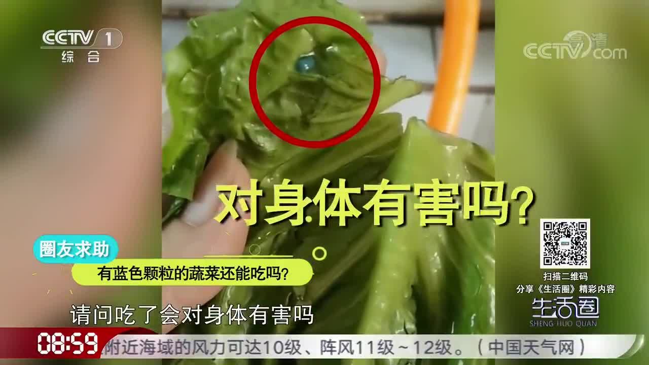 [视频]有蓝色颗粒的蔬菜还能吃吗？