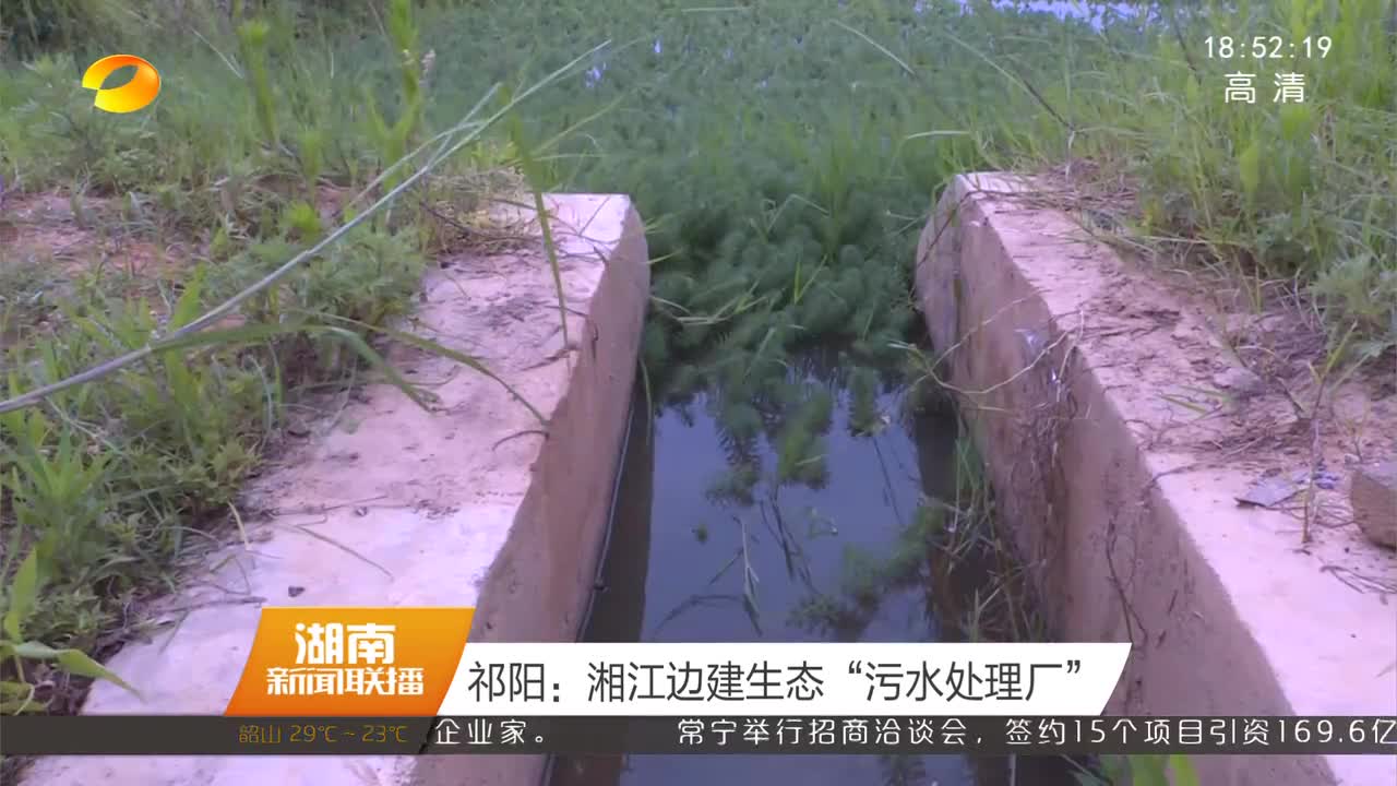 祁阳：湘江边建生态“污水处理厂”