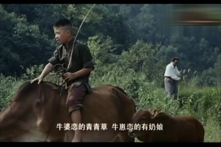 【不忘初心 经典故事】你不知道的毛泽东：独自徜徉村野乡音对歌放牛娃，能打胜仗的毛主席更有接地气亲群众的一颗初心