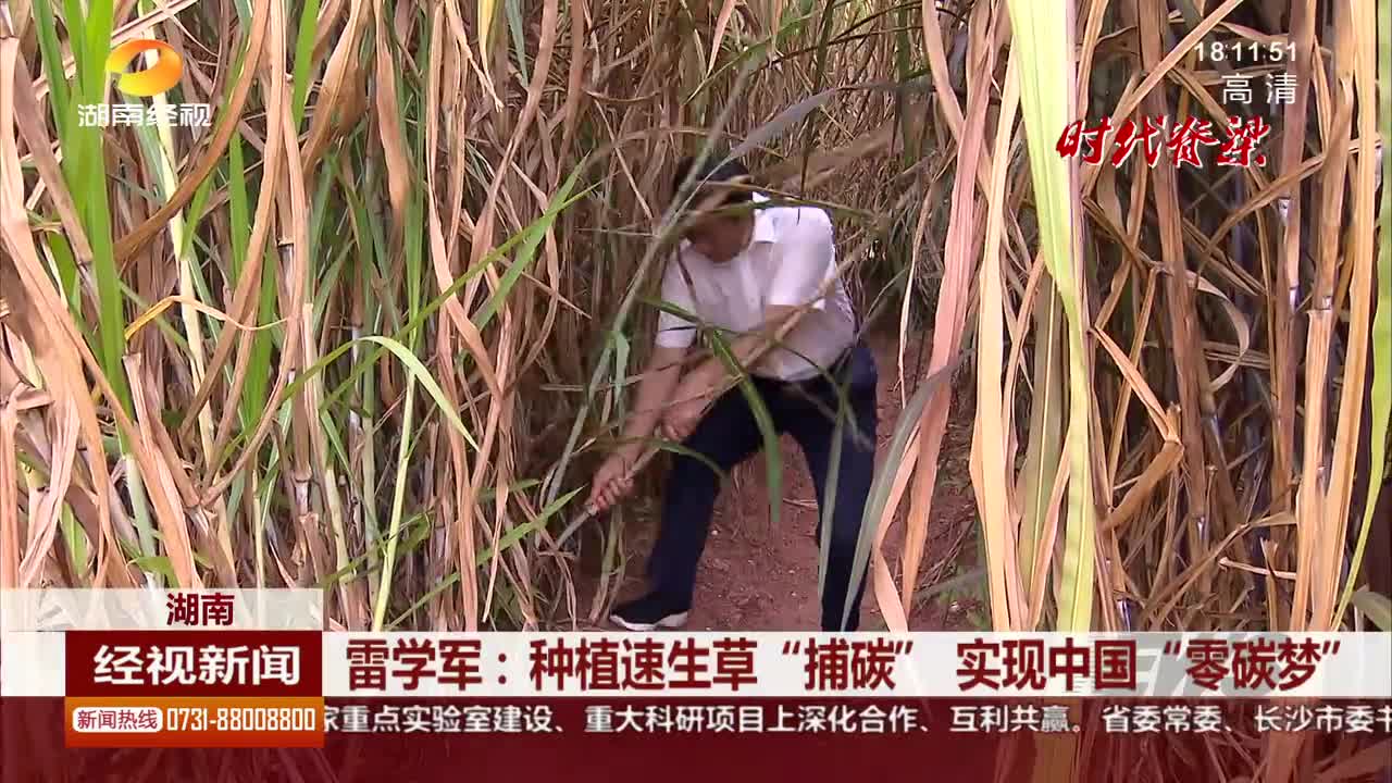 湖南 雷学军：种植速生草“捕碳” 实现中国“零碳梦”