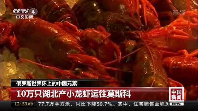 [视频]俄罗斯世界杯上的中国元素：10万只湖北产小龙虾运往莫斯科