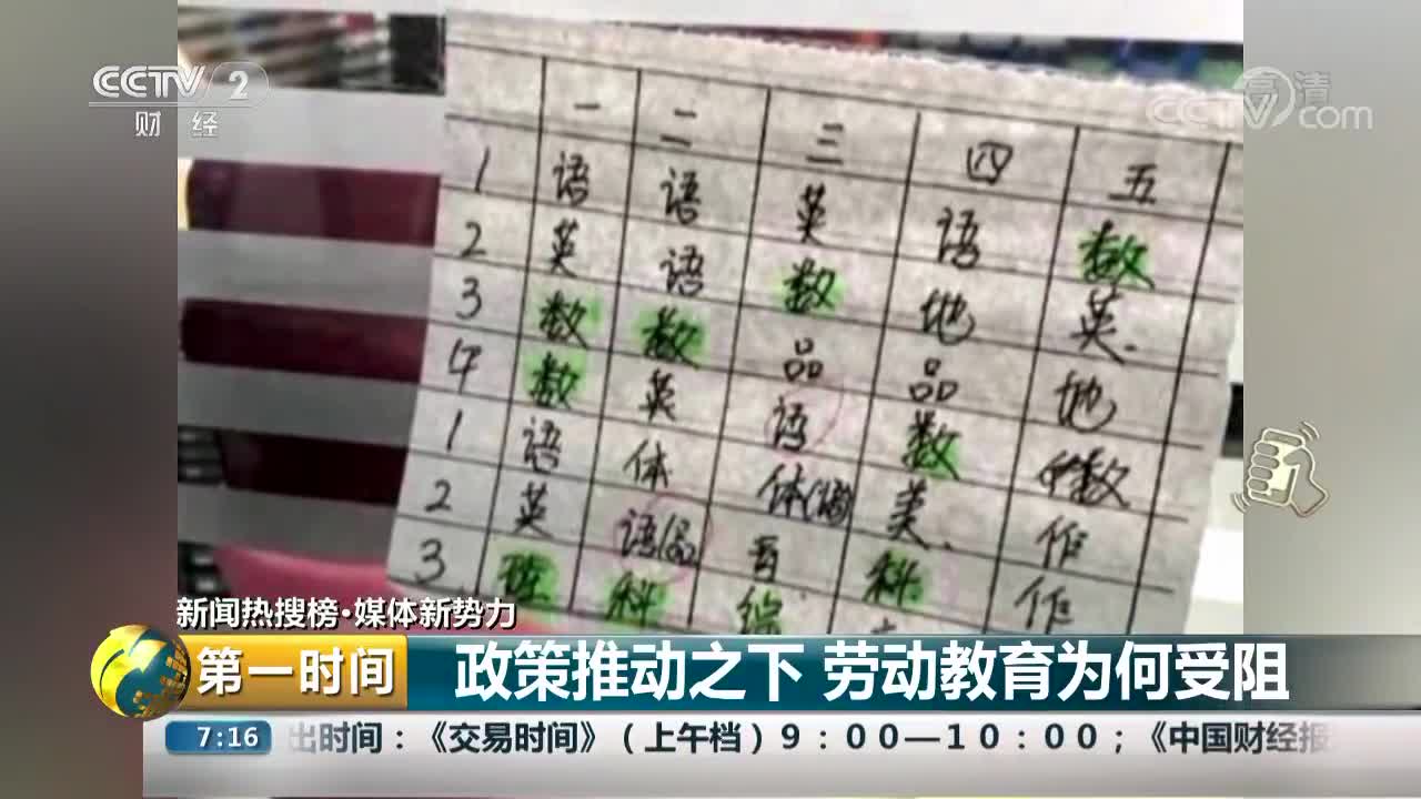 [视频]政策推动之下 劳动教育为何受阻