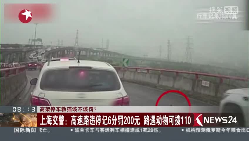 [视频]高架停车救猫该不该罚？ 上海交警：高速路违停记6分罚200元 路遇动物可拨110