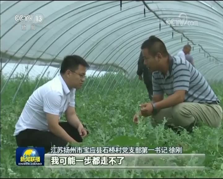 [视频]扎实践行新时代党的组织路线——习近平总书记在全国组织工作会议重要讲话引发热烈反响