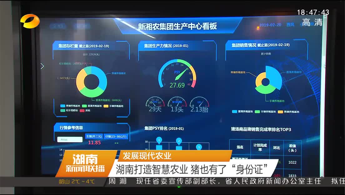 发展现代农业 湖南打造智慧农业 猪也有了“身份证”