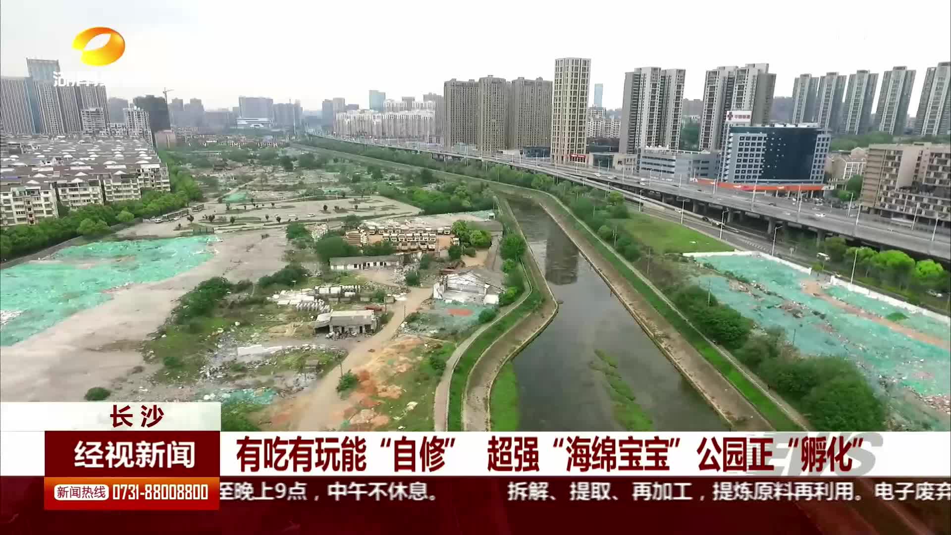 长沙：有吃有玩能“自修” 超强“海绵宝宝”公园正“孵化”