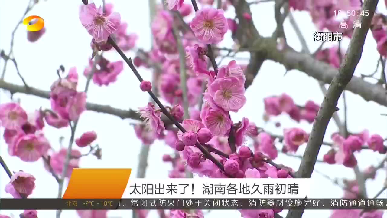 太阳出来了！湖南各地久雨初晴