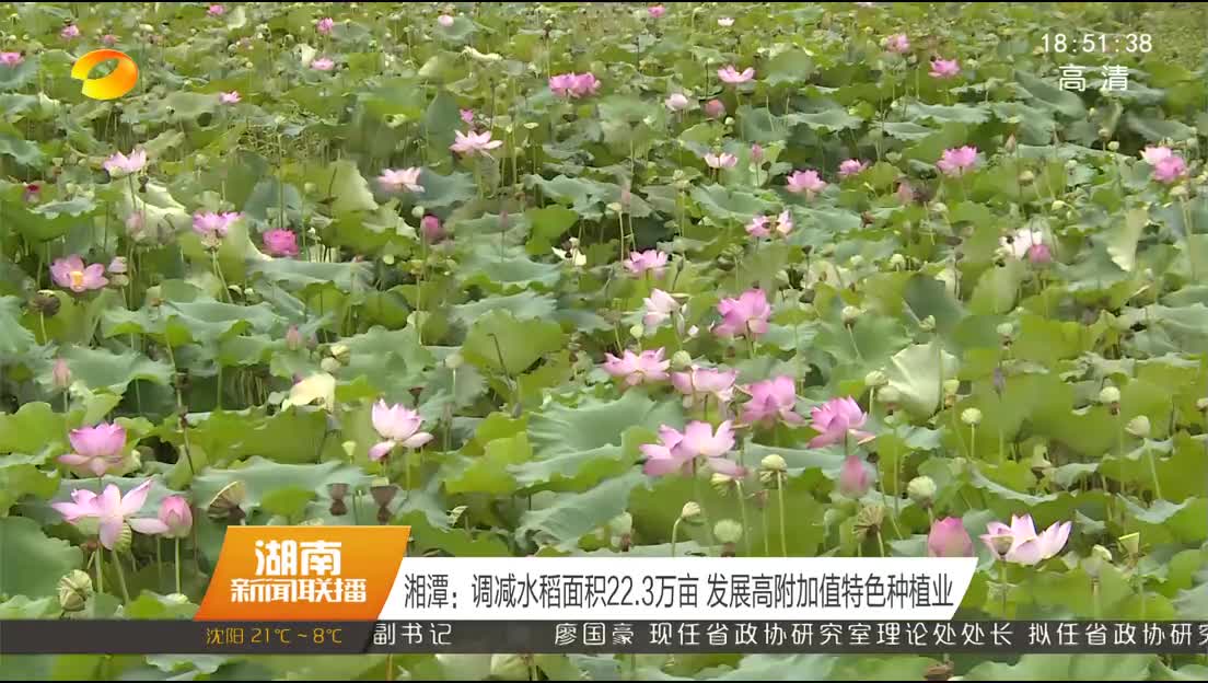 湘潭：调减水稻面积22.3万亩 发展高附加值特色种植业