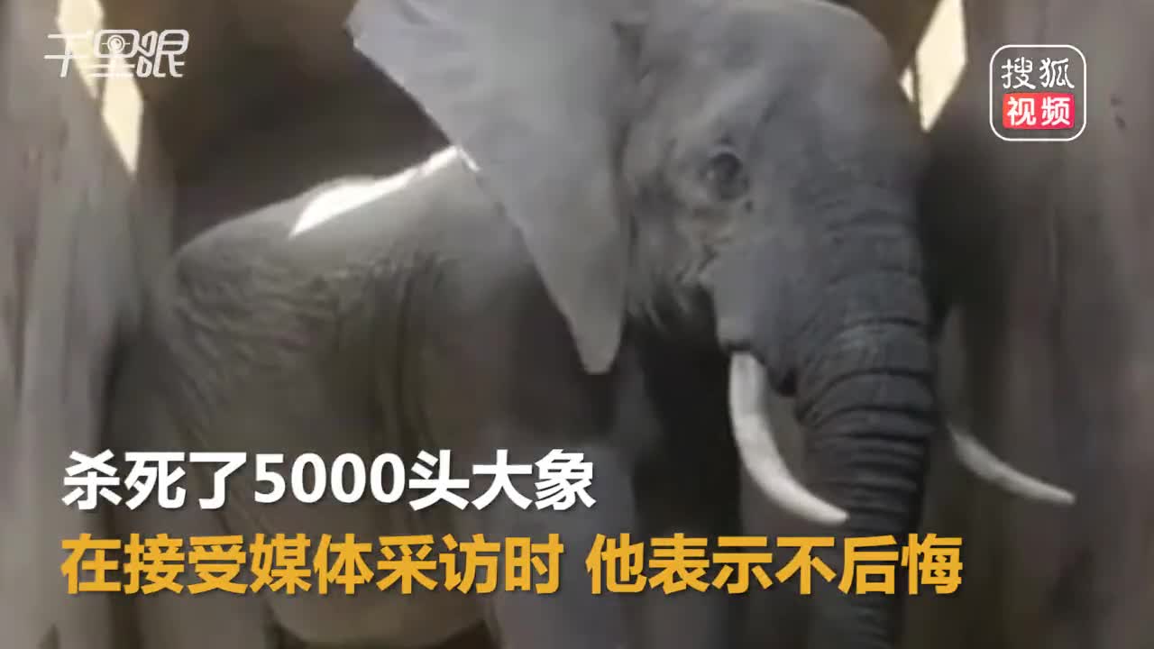 [视频]护林员60年杀5000头大象称不后悔：是为了人类的生存