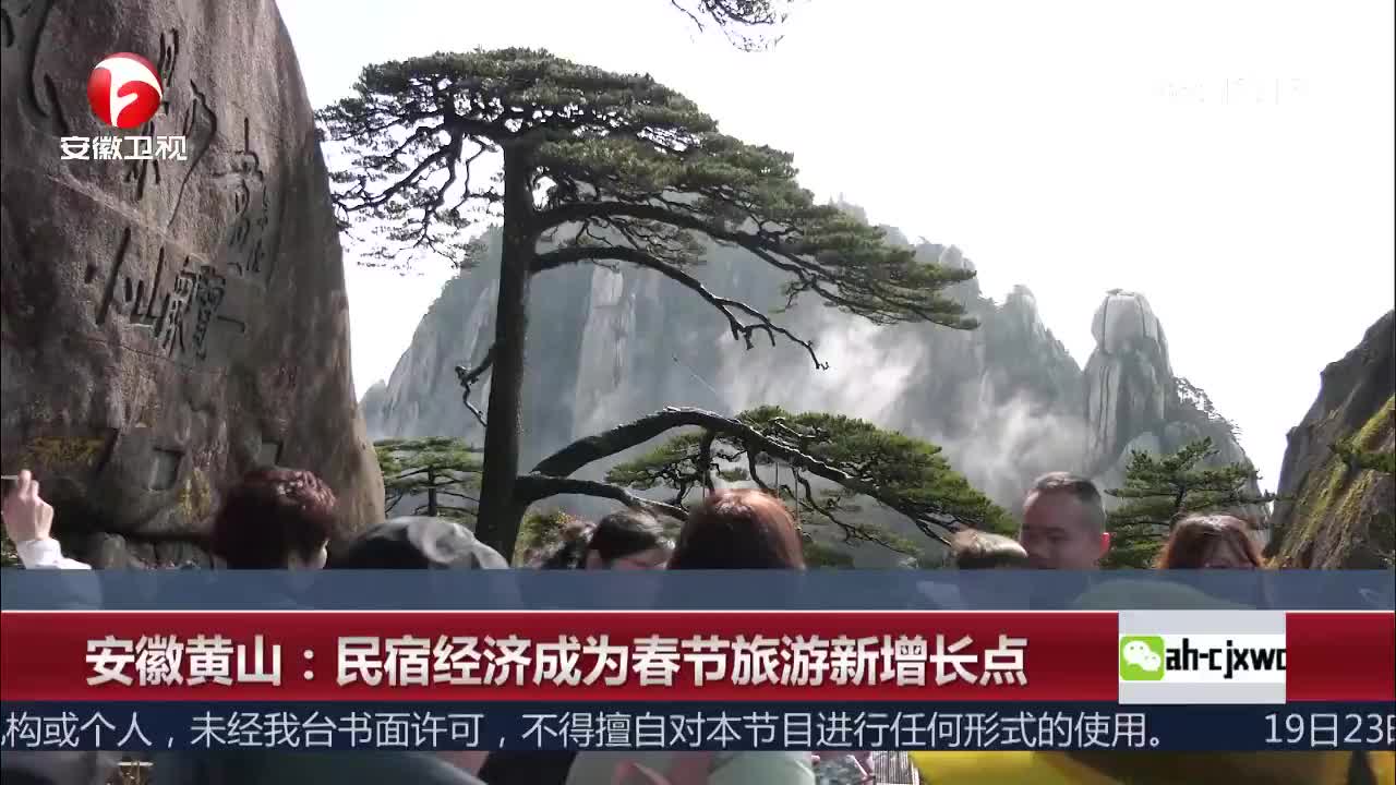 [视频]安徽黄山：民宿经济成为春节旅游新增长点
