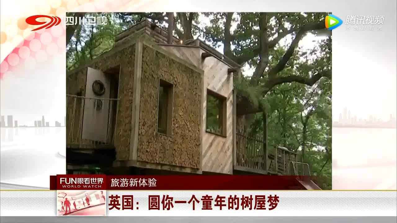 [视频]英国：圆你一个童年的树屋梦