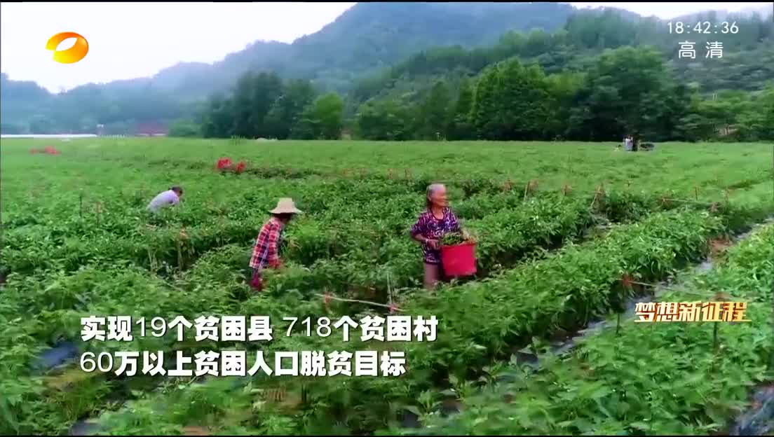 追梦路上：梦想新征程