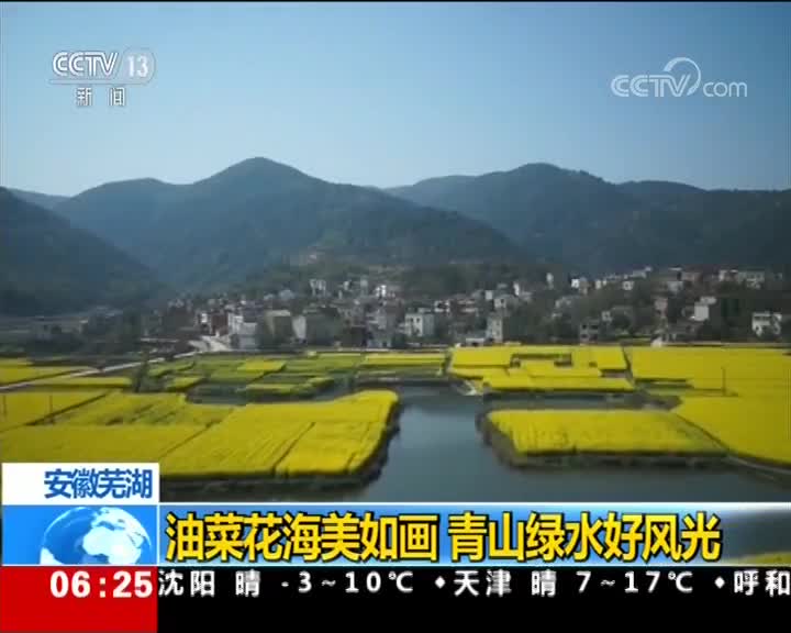 [视频]江苏灌云：千亩梅花开 枝头报春来