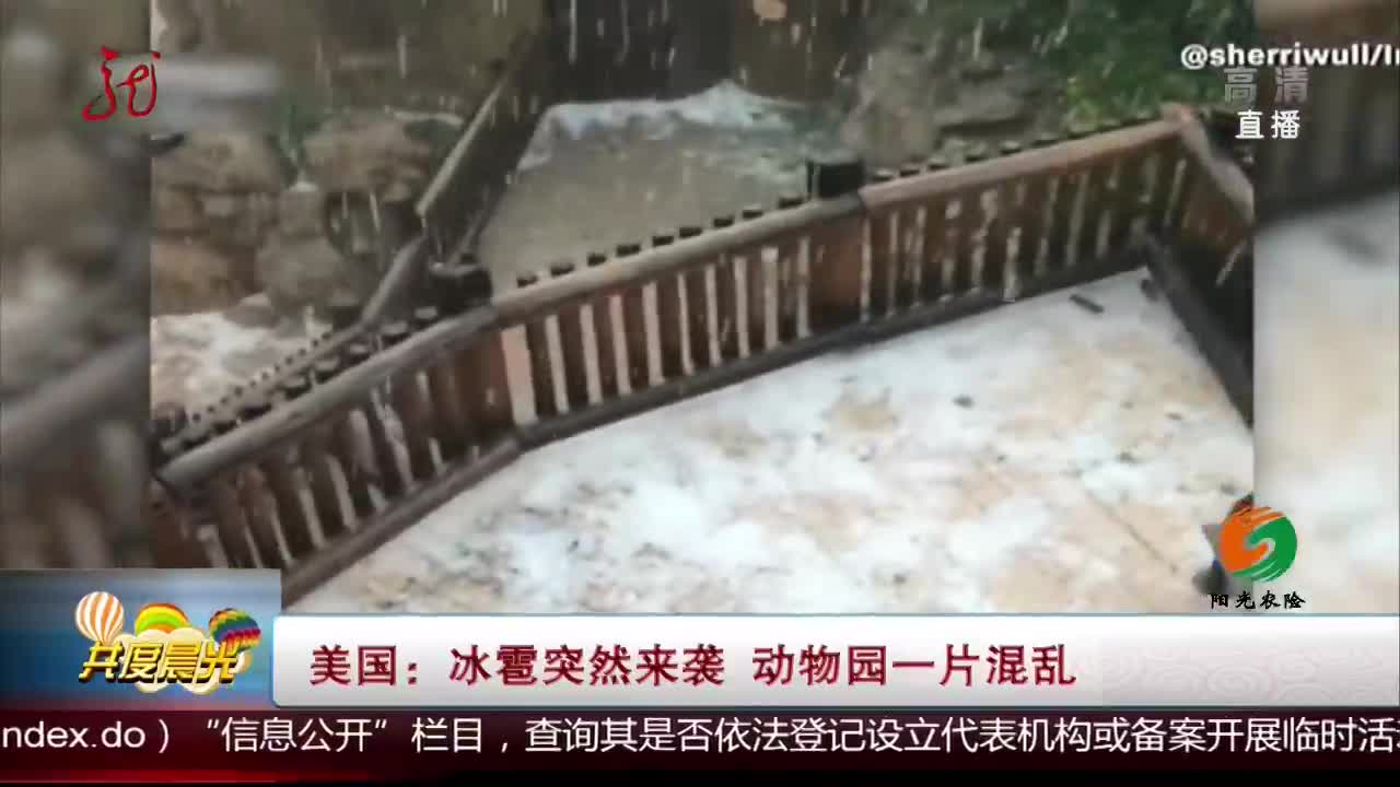 [视频]美国：冰雹突然来袭 动物园一片混乱