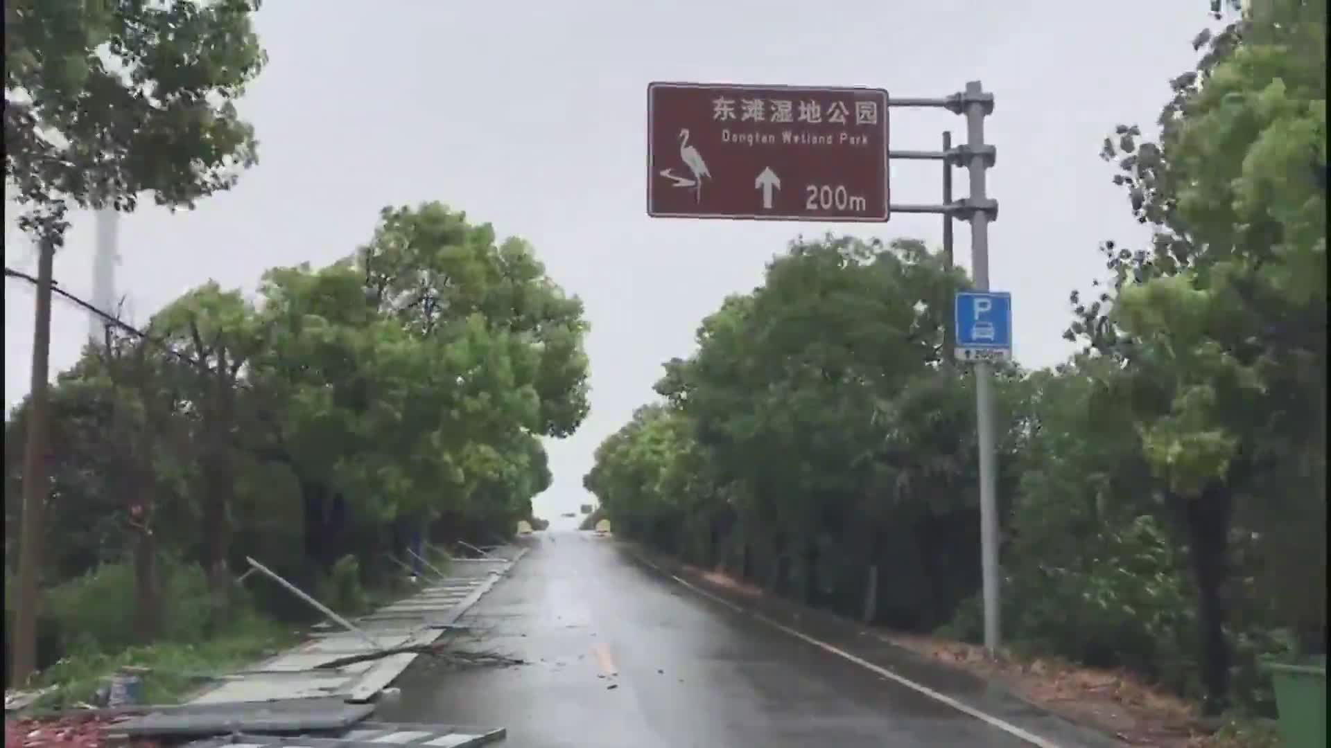 [视频]记者手记：精细化管理筑起上海防台防汛的安全屏障