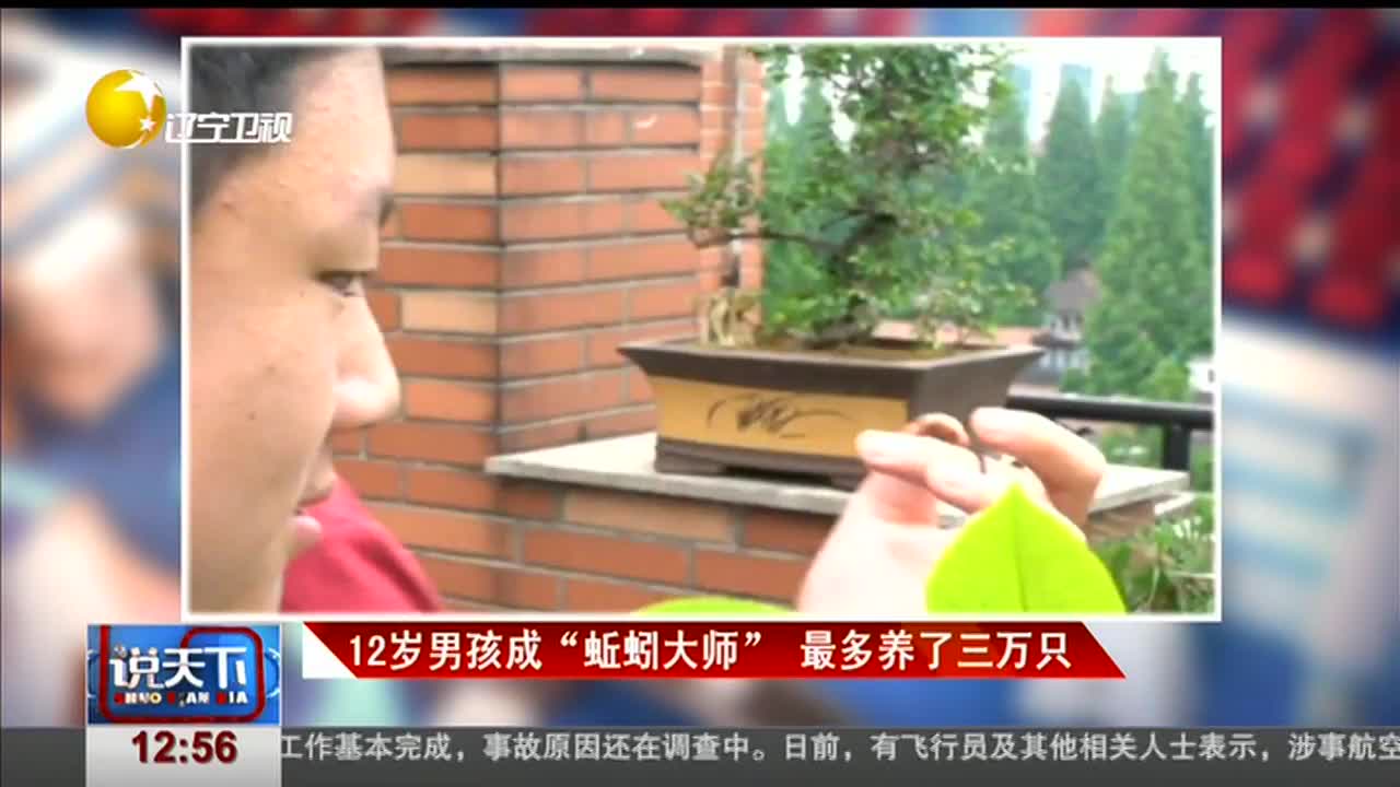 [视频]12岁男孩成“蚯蚓大师” 最多养了三万只