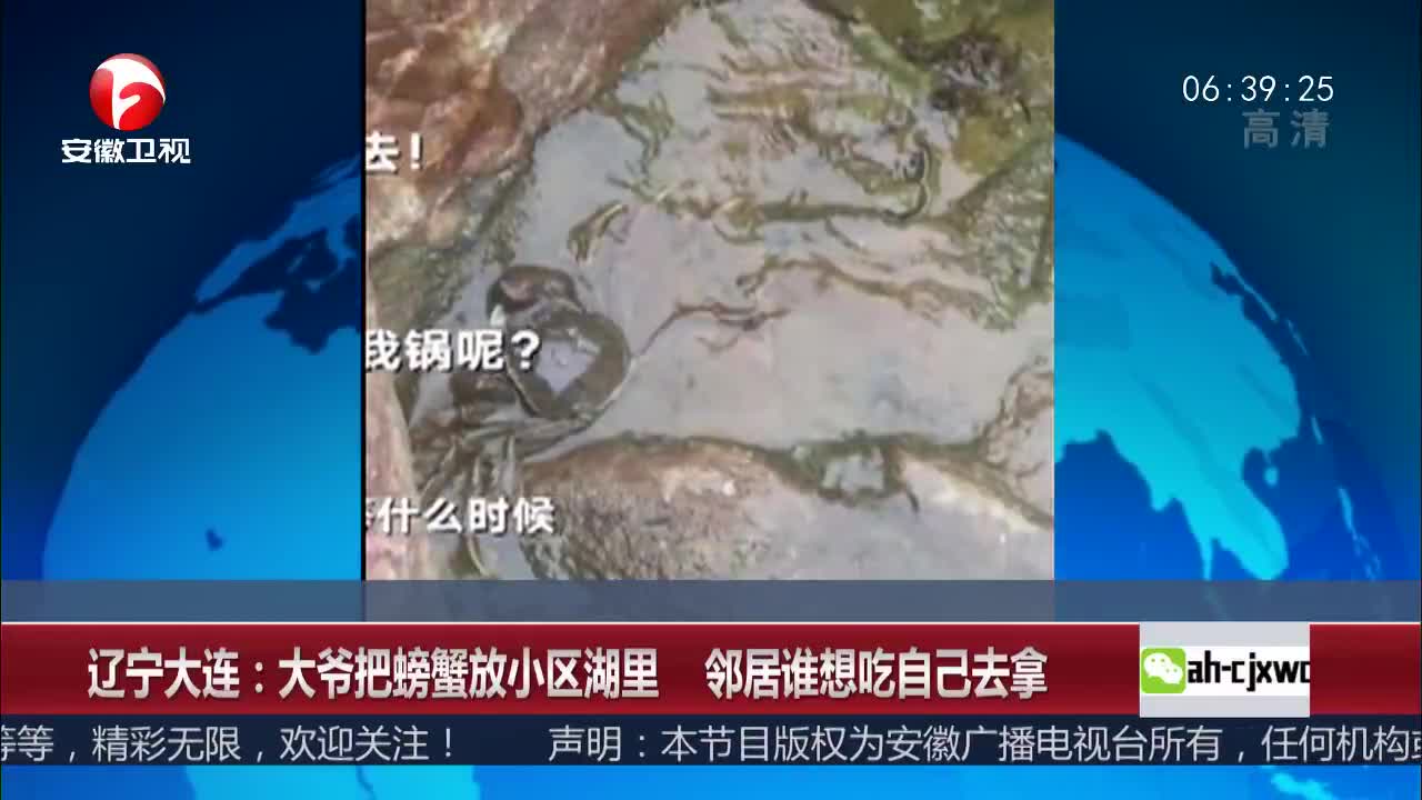 [视频]辽宁大连：大爷把螃蟹放小区湖里 邻居谁想吃自己去拿