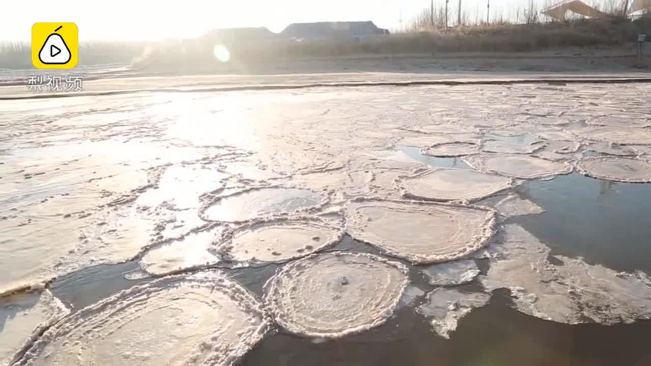 [视频]奇观！冰面融化形成圆形“大饼”，似“白莲”绽放