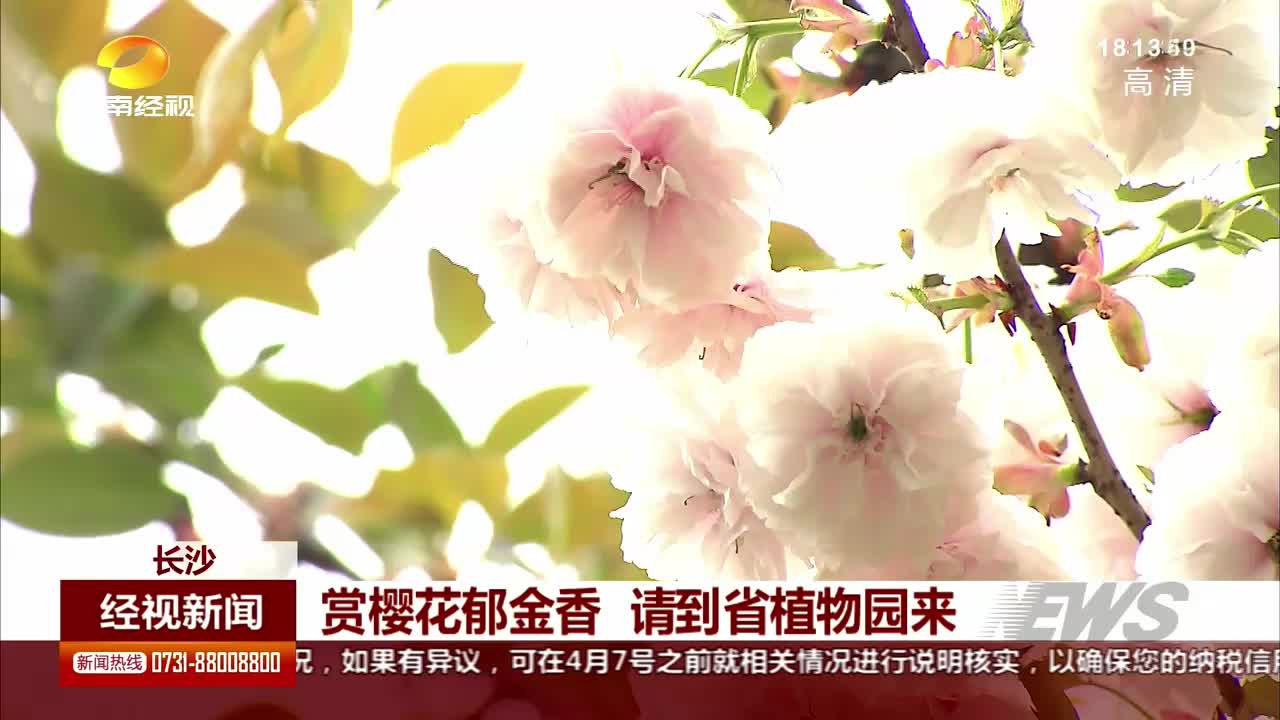 赏樱花郁金香 请到省植物园来