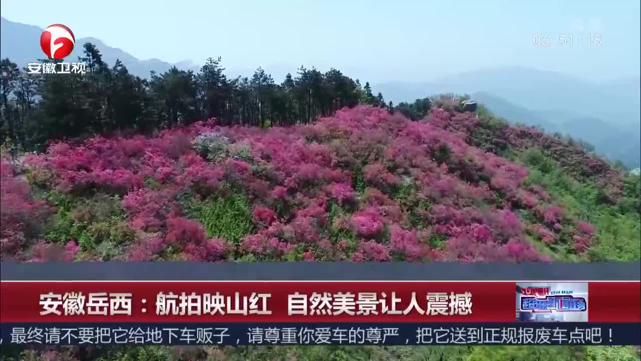 [视频]安徽岳西：航拍映山红 自然美景让人震撼