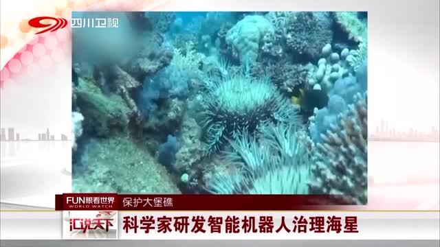 [视频]保护大堡礁：科学家研发智能机器人治理海星